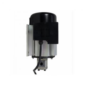Lanterne pompe hydraulique standard EU GR2 et moteur électrique B5 11-15KW