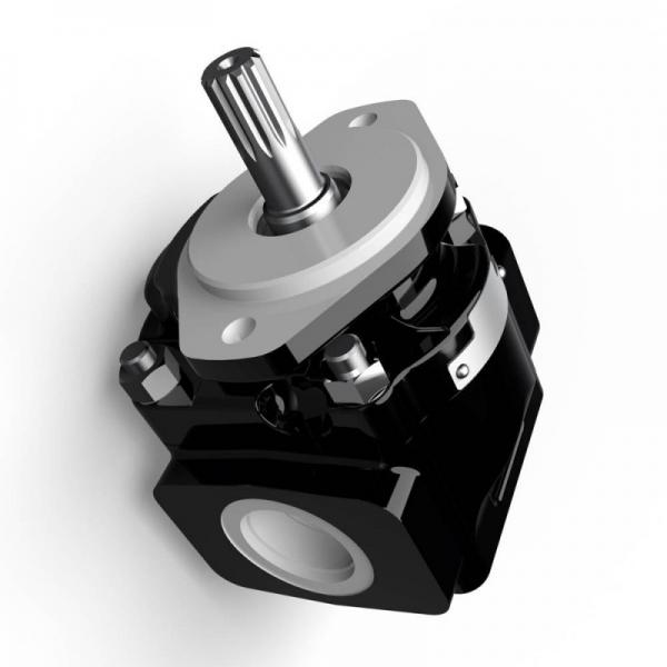 Genuine PARKER/JCB 3CX double pompe hydraulique 332/F9030 36 + 29cc/rev. Made in EU #1 image