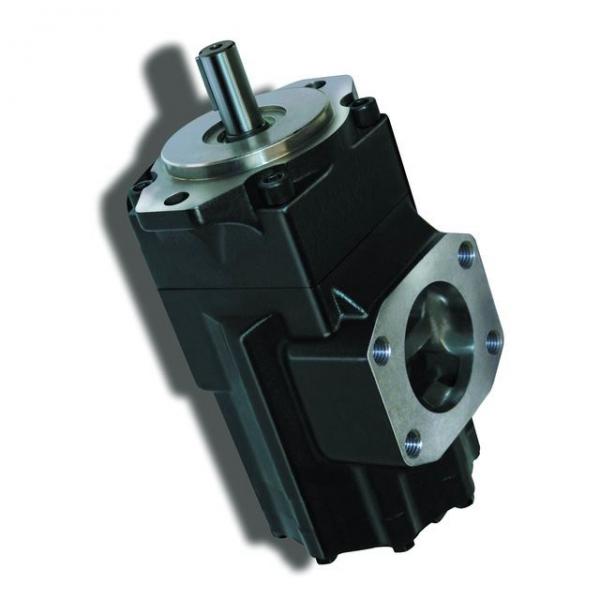 Genuine PARKER/JCB 3CX double pompe hydraulique 20/912800 33 + 29cc/rev MADE in EU #3 image