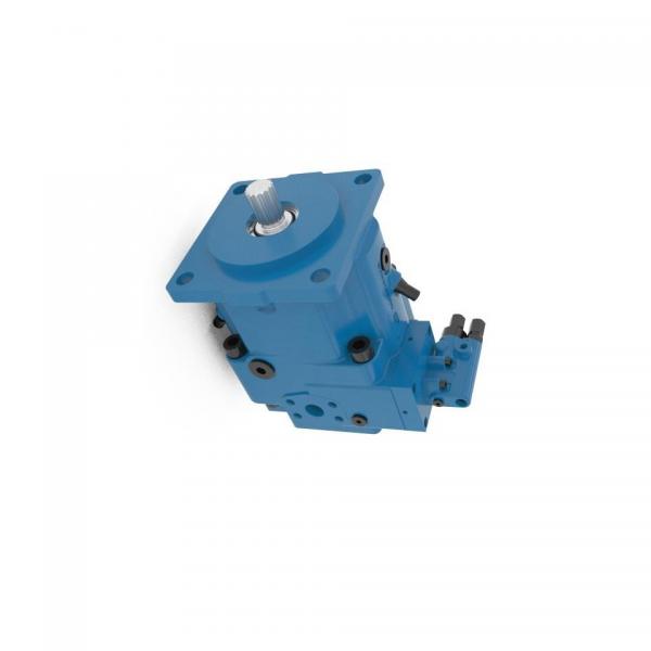 BOSCH REXROTH hydraulic axial piston fixed pump A17FO032/10NLWK0E81-0 R902162390 #2 image