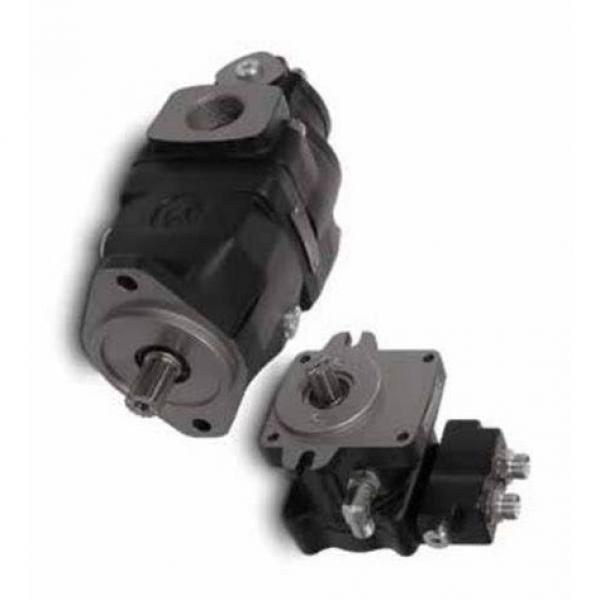 BOSCH REXROTH hydraulic axial piston fixed pump A17FO063/10NLWK0E81-0 R902162394 #2 image