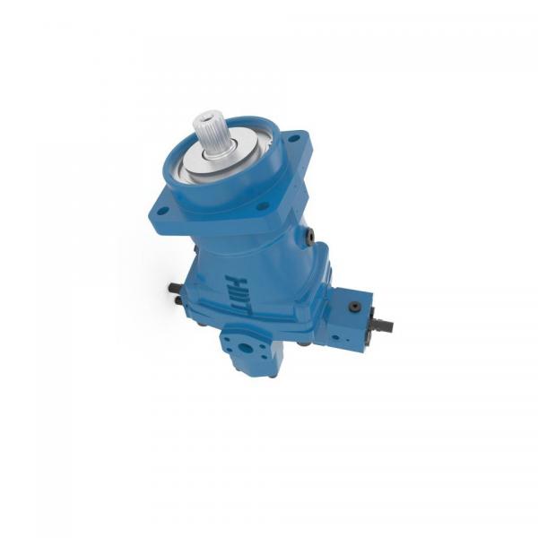 Nessie Danfoss PAH 80 High Pressure Tap Water Pump, Technical Water,Axial Piston #2 image