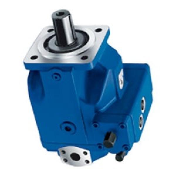 Service De Réparation Pour Towler hydraulique Inline pompes à piston 5E300 5H430 3H180 3E180 #1 image
