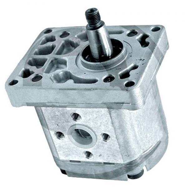 Pompe Hydraulique Bosch/Rexroth 16 + 14cm ³ Case IH C55 C64 C70 CS94 Deutz 90 #3 image